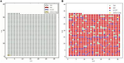 Effect of Seeding Strategy on the Efficiency of Brand Spreading in Complex Social Networks